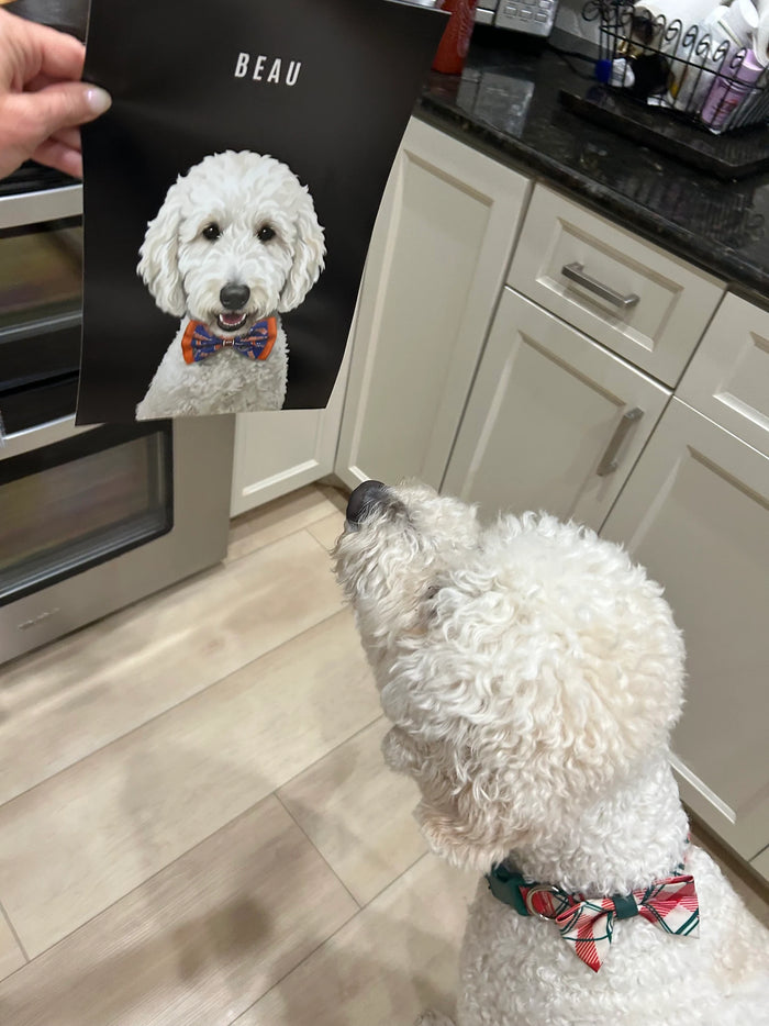 Happy pet parent